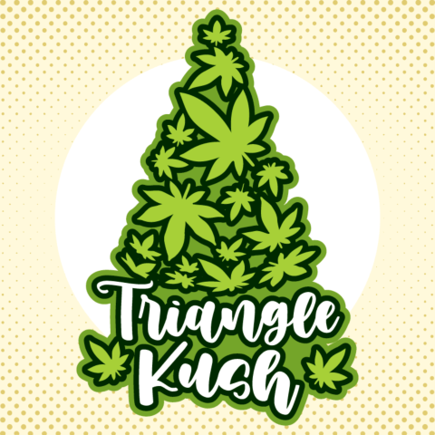 Triangle Kush Feminized