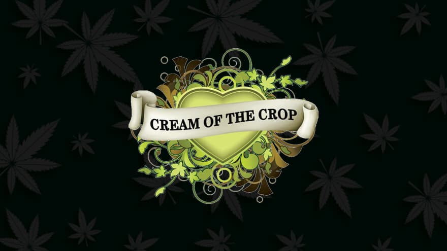 https://development.seedsupreme.com/media/codazon_cache/brand/1200x/codazon/brand/Covers/cream-of-the-crop-seeds-seedbank-cover.jpg