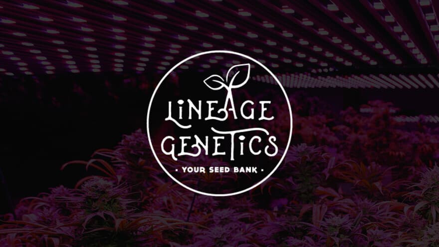 https://development.seedsupreme.com/media/codazon_cache/brand/1200x/codazon/brand/Covers/lineage-genetics-seedbank-cover.jpg