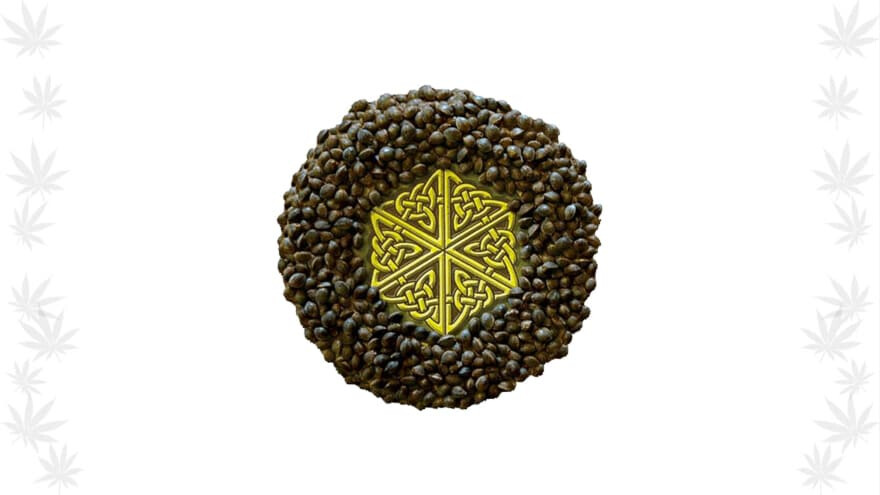 https://development.seedsupreme.com/media/codazon_cache/brand/1200x/codazon/brand/Covers/mandala-seeds-seedbank-cover.jpg