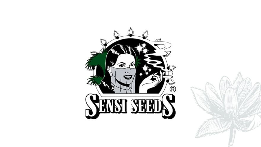 https://development.seedsupreme.com/media/codazon_cache/brand/1200x/codazon/brand/Covers/sensi-seeds-seedbank-cover.jpg