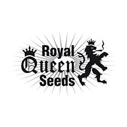 https://development.seedsupreme.com/media/codazon_cache/brand/250x/codazon/brand/306x306_seedbanks/royal-queen-seeds-seedbank.jpg