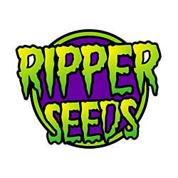 https://development.seedsupreme.com/media/codazon_cache/brand/250x/codazon/brand/ripper-seeds.png