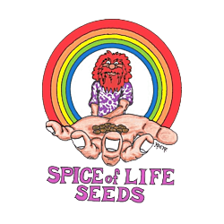 https://development.seedsupreme.com/media/codazon_cache/brand/250x/codazon/brand/spice_of_life_seeds.png