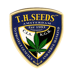 https://development.seedsupreme.com/media/codazon_cache/brand/250x/codazon/brand/th_seeds.png